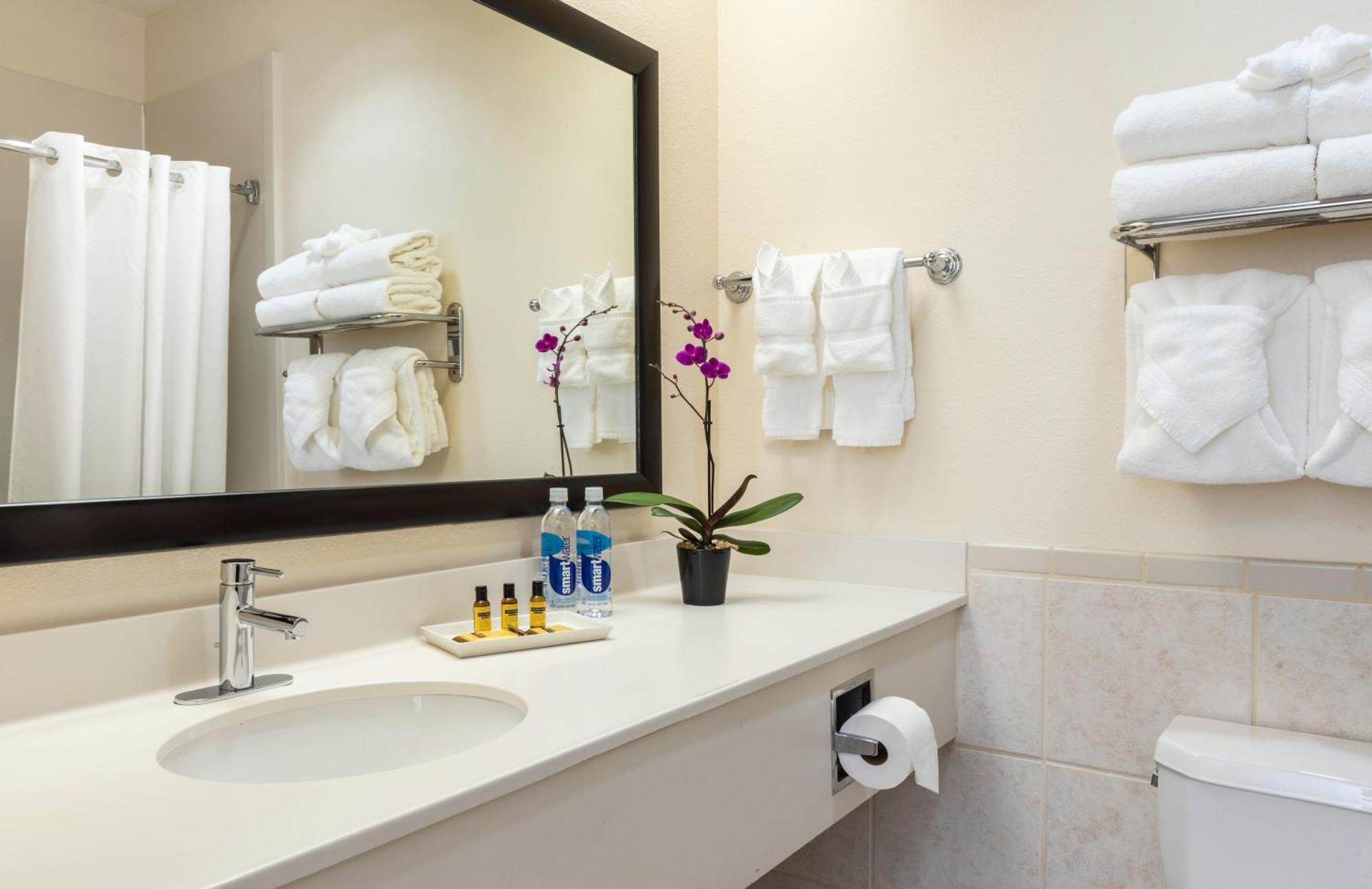 Best Western Plus Downtown Inn & Suites Houston Exterior photo