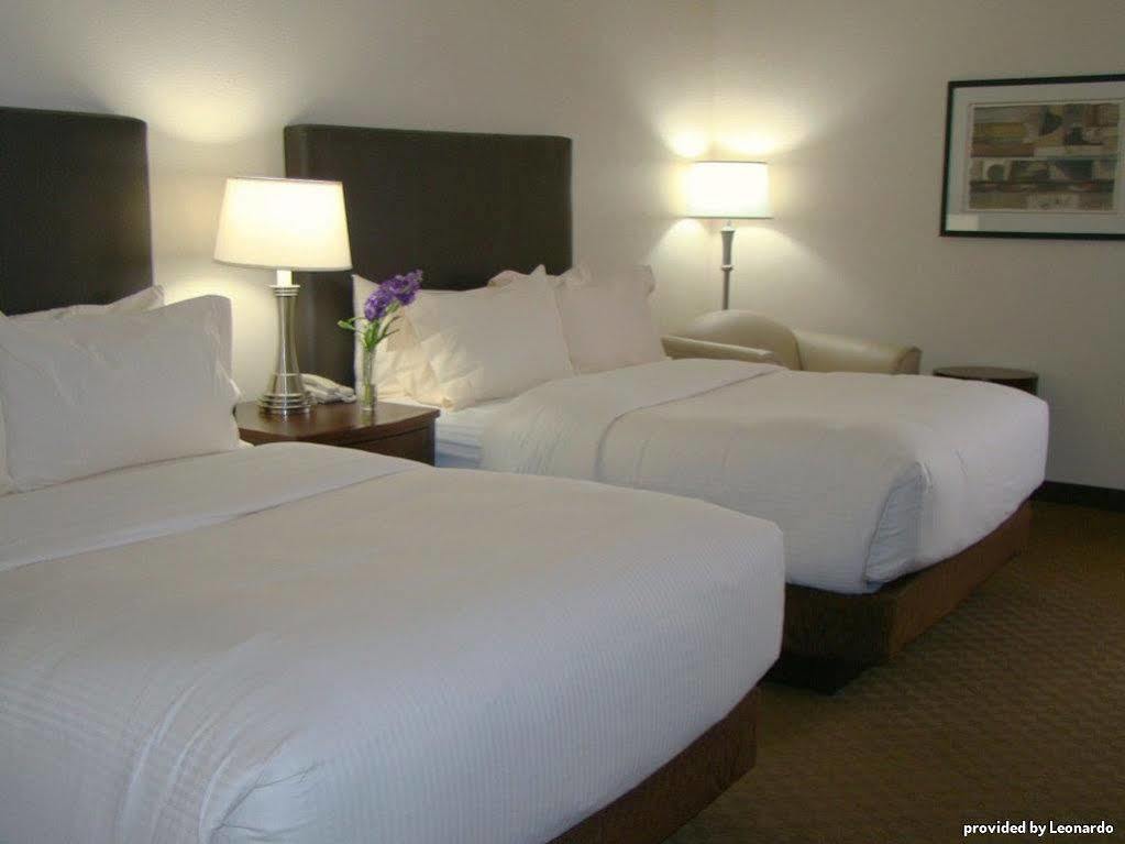 Best Western Plus Downtown Inn & Suites Houston Room photo